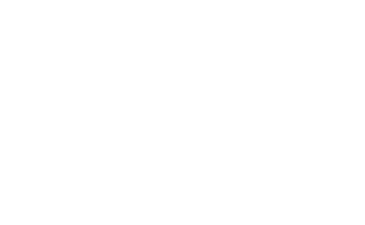 logo edy inox